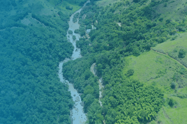 Rio em floresta
